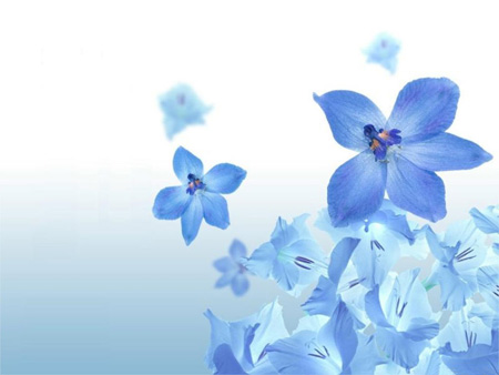 wallpaper of flowers. Flower Desktop Wallpaper