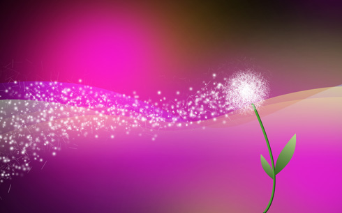 Amazing Backgrounds on Create Amazing And Colorful Desktop Wallpaper With Dandelion  Full