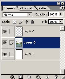 Layer Palette in Adobe Photoshop CS
