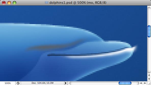 Dolphins - making of - Step 12