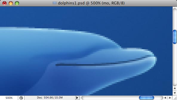 Dolphins - making of - Step 13