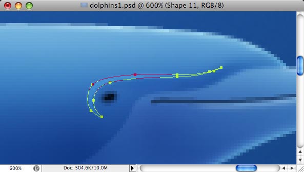 Dolphins - making of - Step 14