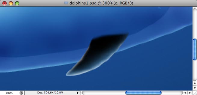 Dolphins - making of - Step 18
