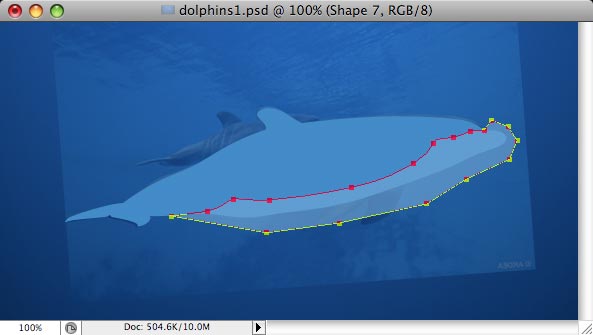 Dolphins - making of - Step 5